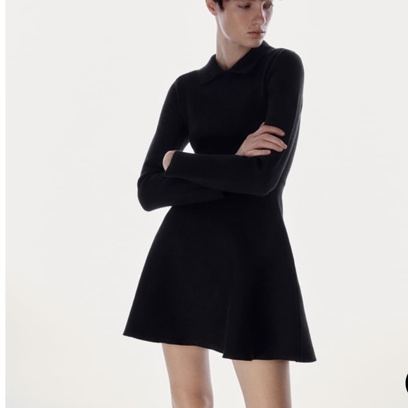 Zara Dresses Trf By Zara Skater Mini Dress Poshmark